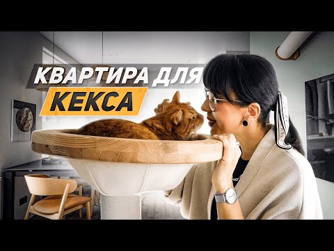 Видео: Из ТРЕШ-квартиры В КОНФЕТКУ. Обзор быстрого и бюджетного ремонта от дизайнера интерьера. рум-тур 60м