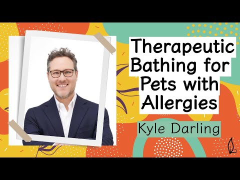 Видео: Лечебное купание для животных с аллергией с Кайлом Дарлингом из Thera-clean Microbubbles