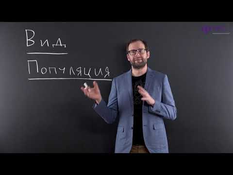 Видео: Экология | Взаимодействие между различными элементами биосферы