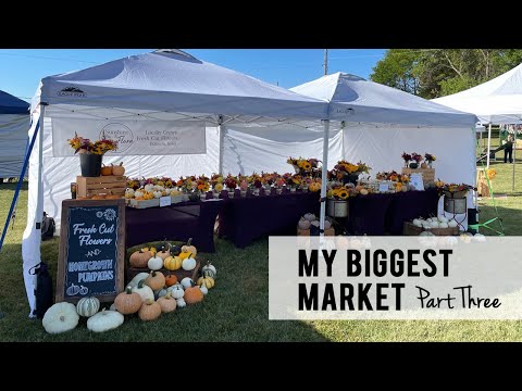 Видео: Мой самый большой рынок. ЧАСТЬ ТРЕТЬЯ: Составление букета, оформление и рынок!!! Видеоблог Sunshi...