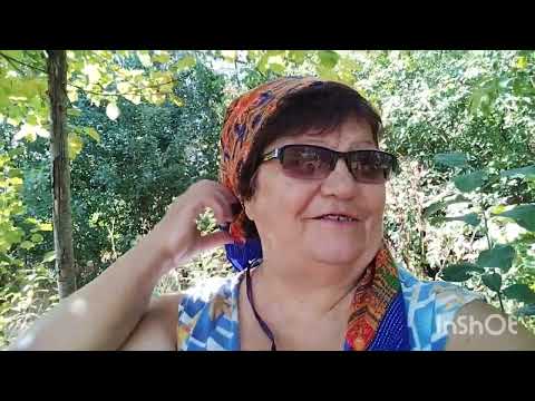 Видео: Поход "В наш лес" за терновкой.😉