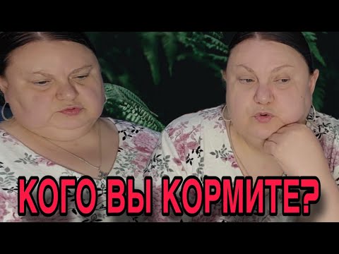 Видео: КОГО ВЫ КОРМИТЕ? КАМЧАТКА ВСТАВИЛА ТАНЮХЕ! ДЕВУШКА С УРАЛА. ОБЗОР. 