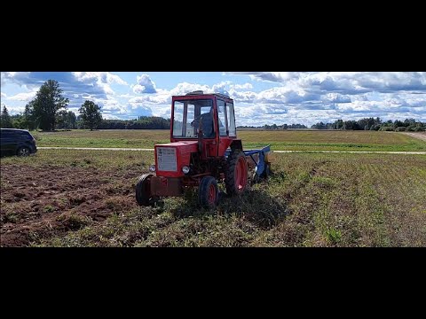 Видео: Т-25 и польская двухрядная прицепная копалка. Копаем бульбу.