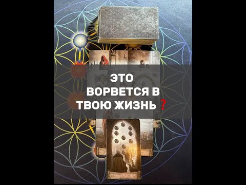 Видео: ЭТО ВОРВЕТСЯ В ТВОЮ ЖИЗНЬ❓