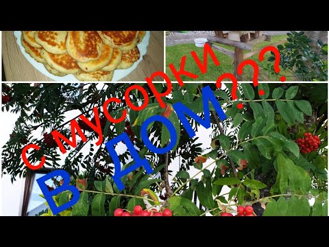 Видео: ЖИВУ В ГЕРМАНИИ ❤ ТАЩУ С МУСОРКИ В ДОМ ??
