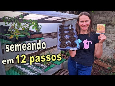 Видео: ПОЛНОЕ РУКОВОДСТВО: посеять и сделать рассаду для огорода в домашних условиях 🌱