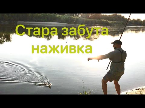 Видео: ЦЯ НАЖИВКА косить рибу! Старий забутий спосіб риболовлі