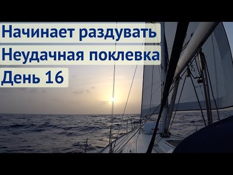Видео: Ветер от слабого до сильного  неудачные поклевки | Трансатлантика, день 16