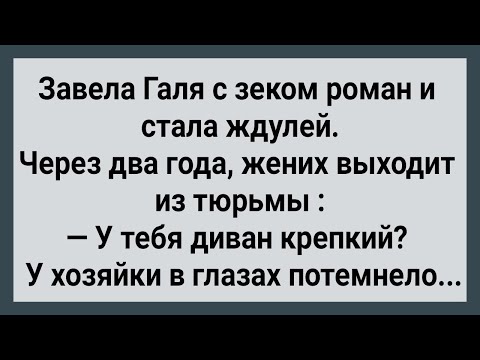 Видео: Как Ждуля из Тюрьмы Жениха Ждала! Сборник Свежих анекдотов! Юмор!