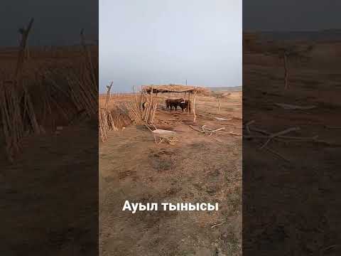 Видео: Ауыл тынысы