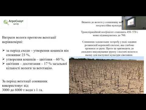 Видео: Лекція №12. Польові культури