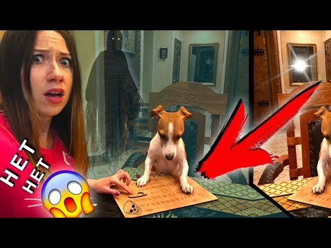 Видео: ВЫЗЫВАЕМ ДУХОВ ОДНА ДОМА Я И МОЯ СОБАКА ДЖИНА | Дом Призрак Elli Di Online
