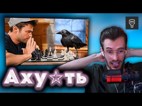 Видео: Заквиель смотрит как УМНАЯ ВОРОНА решает головоломки  | Mark Rober |