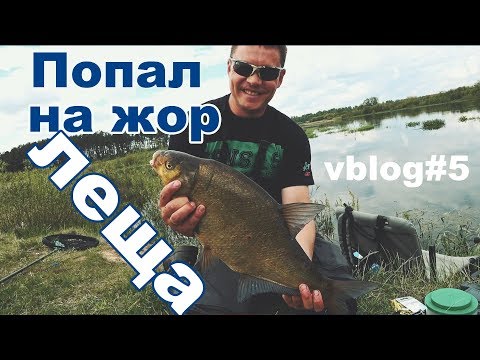 Видео: Попал на жор леща или как поймать леща весной на реке?