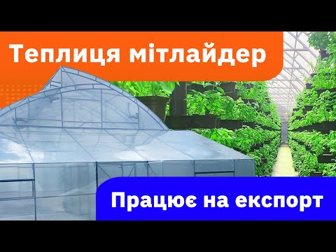 Видео: Нові технологї вирощування в теплиці по мітлайдеру