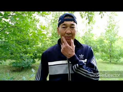 Видео: Ұзақ өмір сүру 2