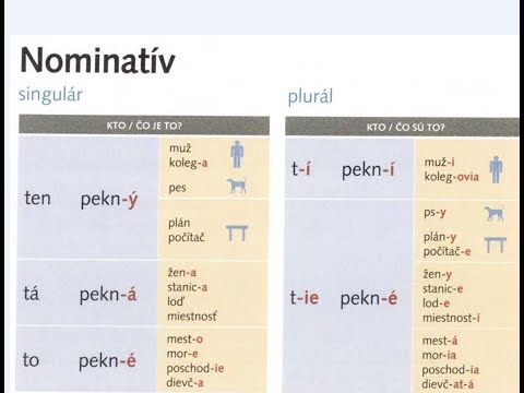 Видео: Lekcia 4 (Nominativ-именительный падеж). 3 часть