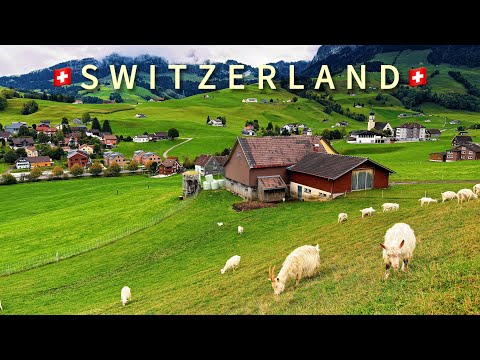 Видео: ШВЕЙЦАРСКАЯДЕРЕВЕНСКАЯ ЖИЗНЬ ВСЕНТЯБРЕ,АППЕНЦЕЛЬ🇨🇭ВОЗВРАЩЕНИЕ ШВЕЙЦАРСКОЙ КОРОВЫ ДОМОЙ ИЗ АЛЬПИЙСКИХ