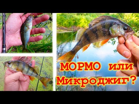Видео: МИКРОДЖИГ ИЛИ МОРМЫШИНГ (наноджиг)? Где применять, на что клюет лучше, используемые приманки...