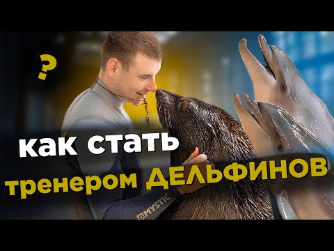 Видео: КАК Я СТАЛ ТРЕНЕРОМ морских млекопитающих. Интервью с тренером дельфинов. Часть 1.