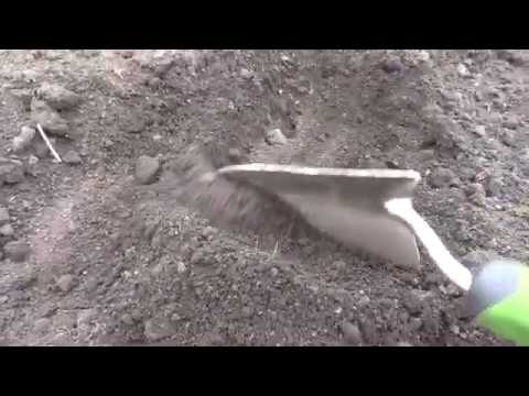 Видео: 02.04.20. Посев льна.