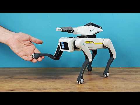 Видео: Мой новый питомец Робот Собака Spot из Китая!