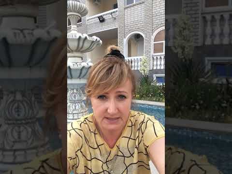 Видео: Мудрость в мелочах.