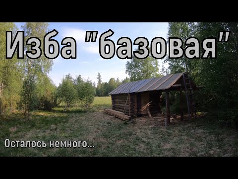 Видео: Строительство таёжного жилья.Набираю пол, строю нары и стол.НОВАЯ ИЗБА #5