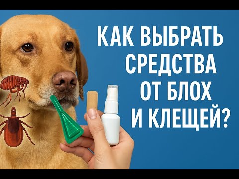 Видео: Как выбрать эффективные препараты от блох и клещей | Препараты какой фирмы и в какой форме лучше