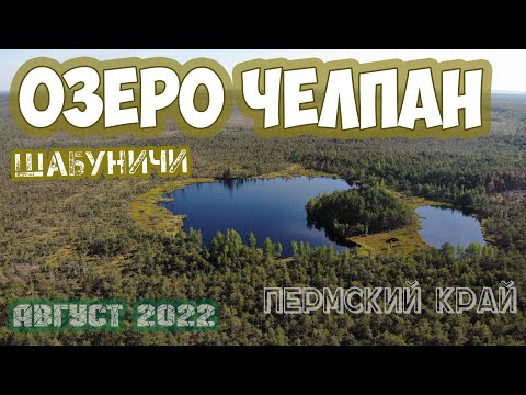 Видео: Озеро Челпан (Чёрное или Щелочное), посёлок Шабуничи, Пермский край, август 2022