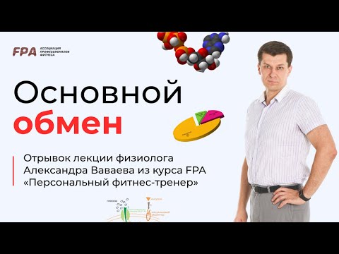 Видео: Основной обмен и суточный калораж | Александр Ваваев (FPA)