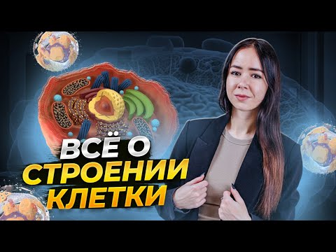 Видео: Строение клетки для ЕГЭ за 50 минут!