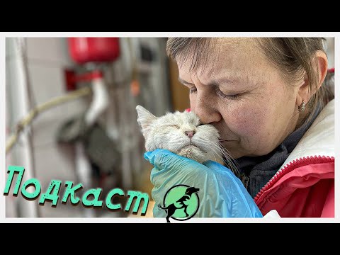 Видео: Едем и общаемся 2023-10-24