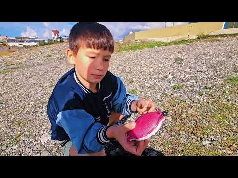 Видео: #рыбалка #каникулы #Сириус 