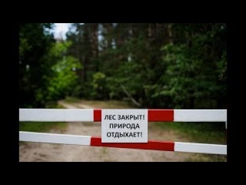 Видео: Глава Торы "ИТРО" Часть 2  | Комментарии к недельной главе | Лекции Байтмана