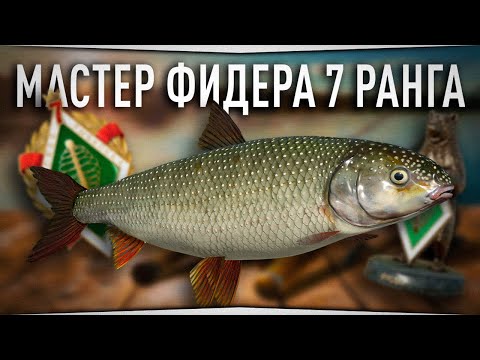 Видео: Какие эмоции от игры спустя 6 лет? • Мой трофейный КУТУМ • Русская Рыбалка 4