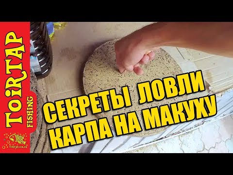 Видео: Секреты ловли КАРПА!! | Ловля карпа на макушатник! | Как правильно выбрать макуху!!