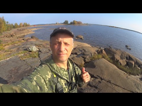 Видео: Рыбалка!На Самокате на Белое море!Трясу сетки.Пешком по сухой воде!Дикие собаки!