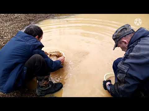 Видео: Вольные старатели! Добыча золота! Сибирские ФАВЕЛЫ, роскошь и нищета!