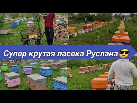 Видео: Самая лучшая пасека по нашему мнению, в гости к Руслану