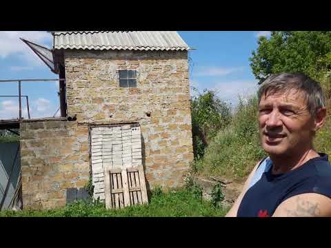 Видео: Николаевские голуби -- с Степановка.-  Прусаков Павел Павлович.  2023г.