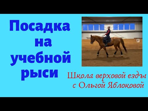 Видео: ПОСАДКА НА УЧЕБНОЙ РЫСИ