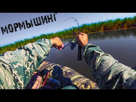 Видео: ЗАПЛЫЛ В ЗАПРЕТНОЕ МЕСТО И НА МЕНЯ НАПАЛИ! МОРМЫШИНГ в ЖАРУ