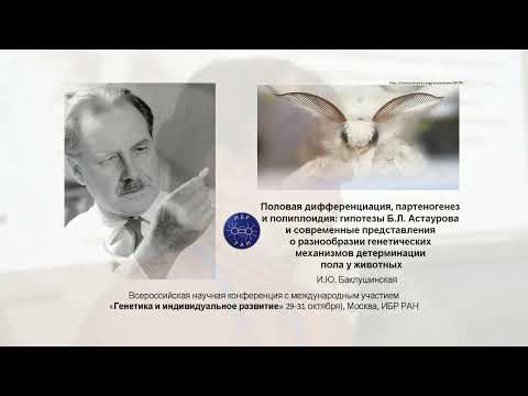 Видео: Половая дифференциация, партеногенез и полиплоидия