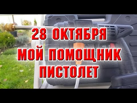 Видео: 28 октября.  Мой помощник - пистолет