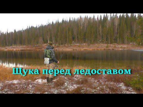 Видео: ОЗЕРО , ГДЕ ТОЛЬКО ЩУКА. РЫБАЛКА НА ЩУКУ ПЕРЕД ЛЕДОСТАВОМ.