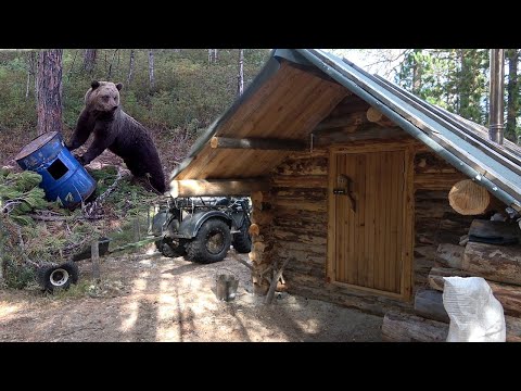 Видео: Отпуск в охотничьей избушке 2