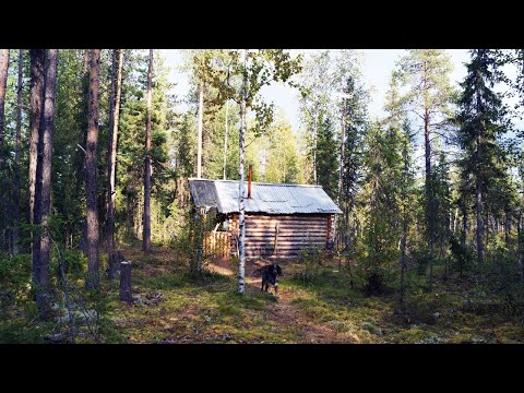 Видео: 10 дней один в глухой тайге. Охота. Рыбалка. Одиночный поход. Таёжный быт. Лесная изба. Часть 5