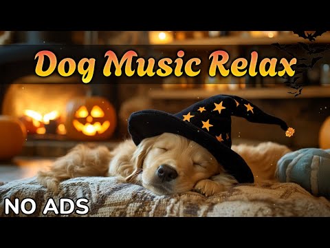 Видео: Музыка для собак от стресса и тревоги 💤 10 часов сна и расслабления для любимца 🐕