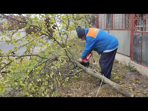 Видео: ЗА ГОРіХАМИ ПіШЛИ СЛИВИ.. 🪓🪚🪜